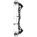 Arc Compound Bowtech Core SS